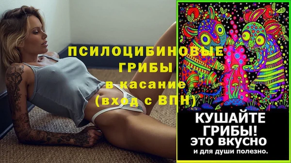 меф Алексин